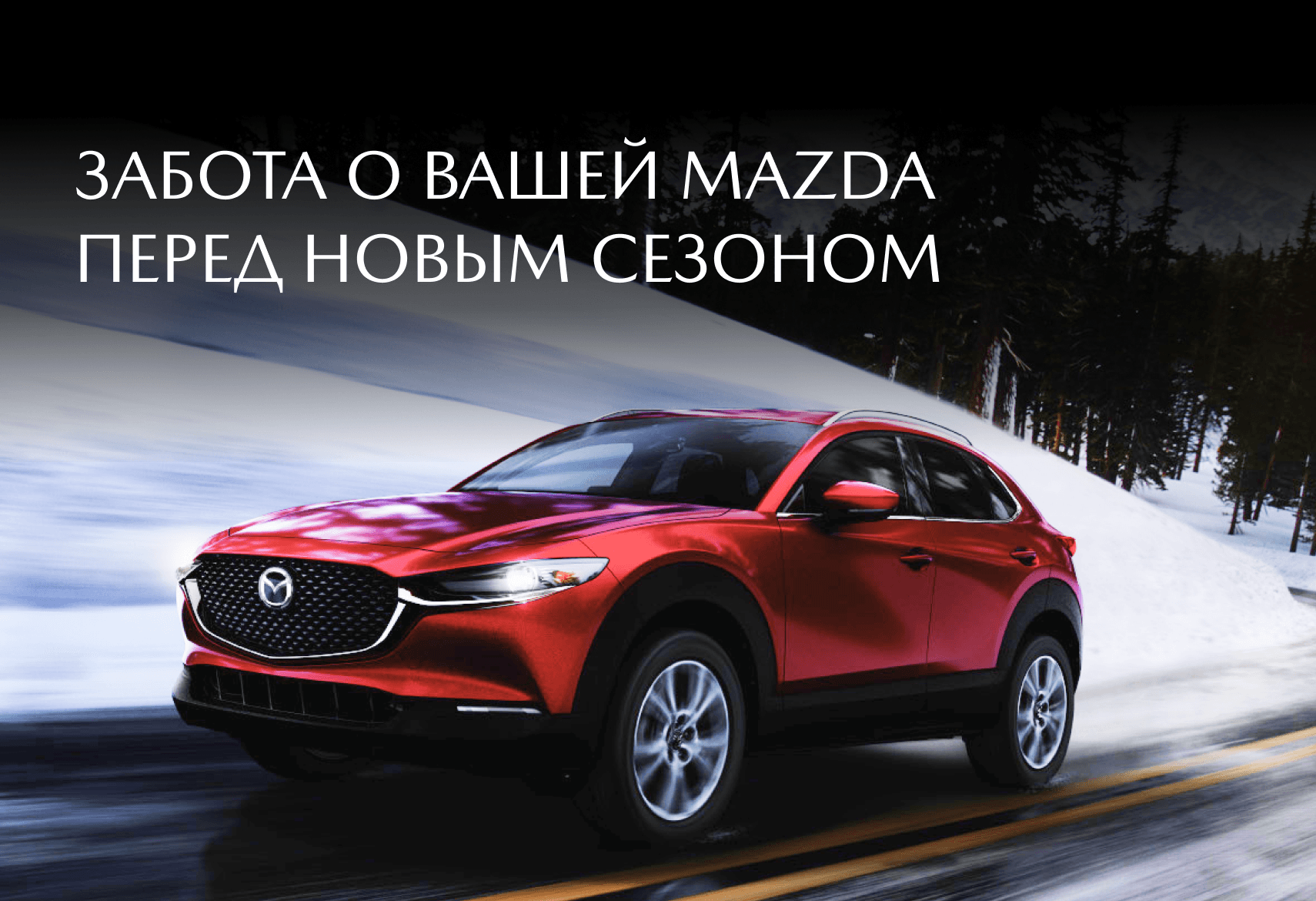 Шиномонтаж, шинный отель и комплекс проверок