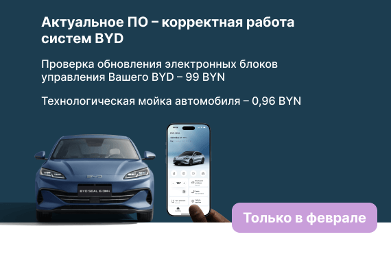 Проверка обновлений электронных блоков управления BYD за 99 BYN