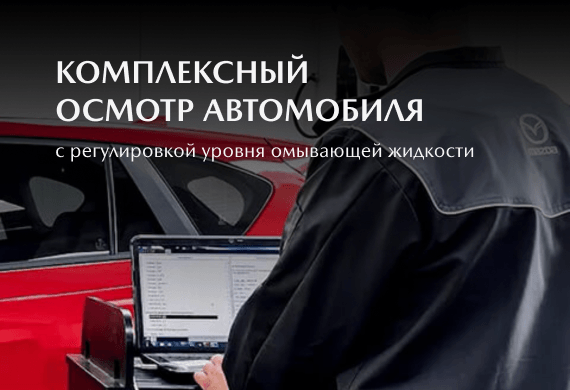 Комплексный осмотр автомобиля с регулировкой уровня омывающей жидкости