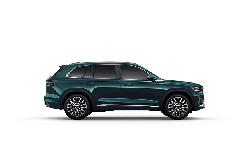 model image