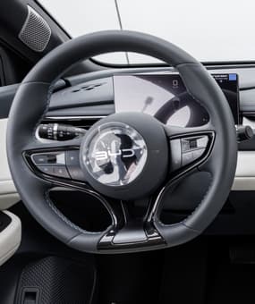 Мультируль