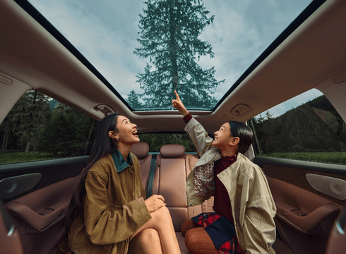 Панорамная крыша