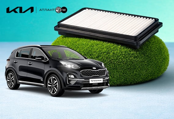 Очистка кондиционера и озонирование салона Kia