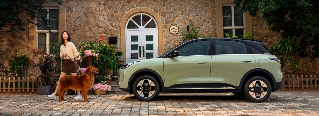 model specifications