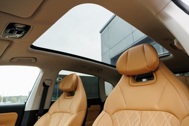 Панорамная крыша