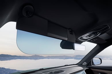 Козырьки с затемнённым стеклом