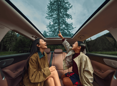 Панорамная крыша